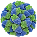 Fizzy Blue Raspberries
