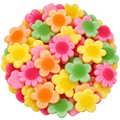 Happy Flowers
